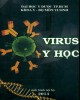 Ebook Virus y học: Phần 2 - ĐH Y Dược TP.HCM