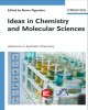 Ebook Ideas in chemistry and molecular sciences - Advances in synthetic chemistry: Part 1